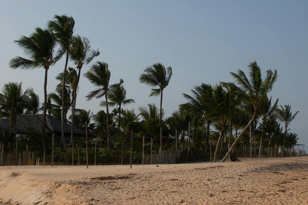 Wie kann ich meine Ferienwohnung während einer Krise erfolgreich vermieten?